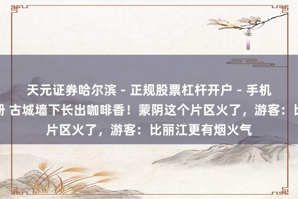 天元证券哈尔滨 - 正规股票杠杆开户 - 手机炒股怎么配资注册 古城墙下长出咖啡香！蒙阴这个片区火了，游客：比丽江更有烟火气