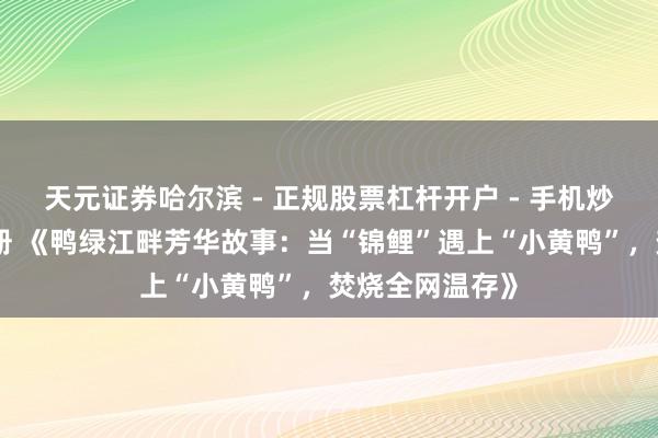 天元证券哈尔滨 - 正规股票杠杆开户 - 手机炒股怎么配资注册 《鸭绿江畔芳华故事：当“锦鲤”遇上“小黄鸭”，焚烧全网温存》