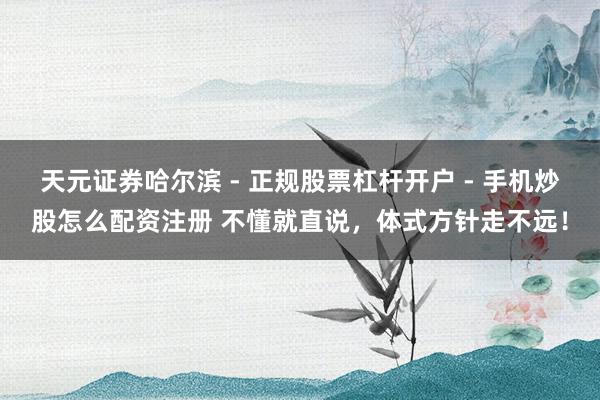 天元证券哈尔滨 - 正规股票杠杆开户 - 手机炒股怎么配资注册 不懂就直说，体式方针走不远！