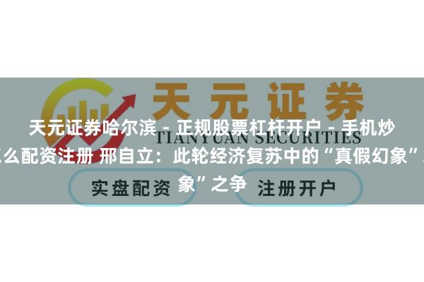 天元证券哈尔滨 - 正规股票杠杆开户 - 手机炒股怎么配资注册 邢自立：此轮经济复苏中的“真假幻象”之争