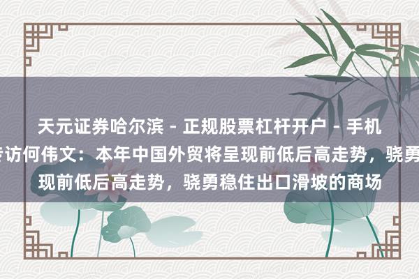 天元证券哈尔滨 - 正规股票杠杆开户 - 手机炒股怎么配资注册 专访何伟文：本年中国外贸将呈现前低后高走势，骁勇稳住出口滑坡的商场